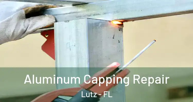  Aluminum Capping Repair Lutz - FL