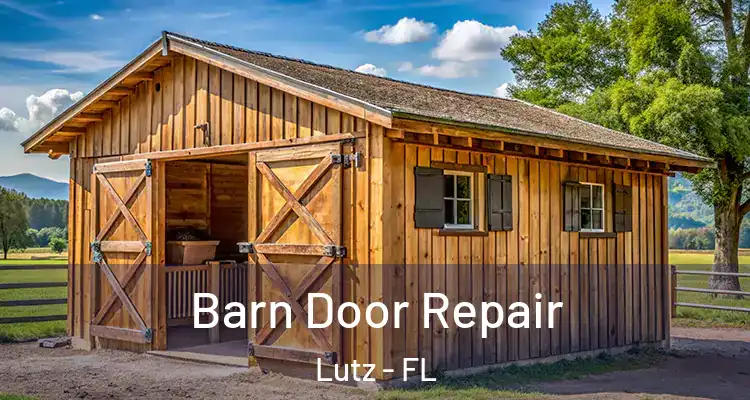 Barn Door Repair Lutz - FL