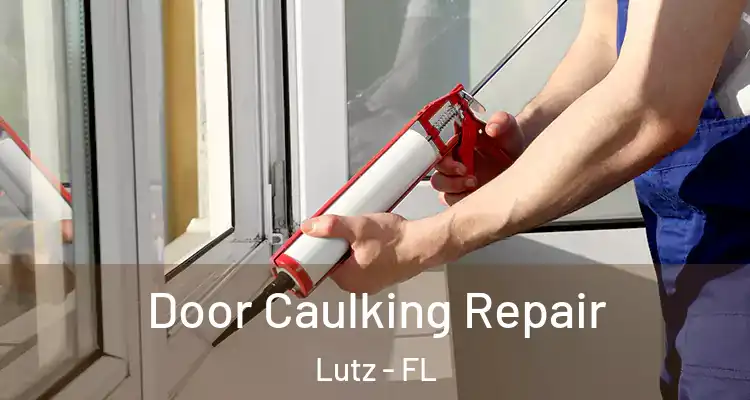  Door Caulking Repair Lutz - FL
