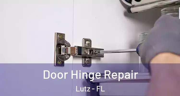  Door Hinge Repair Lutz - FL