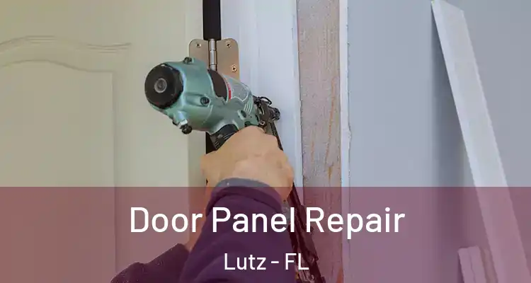  Door Panel Repair Lutz - FL