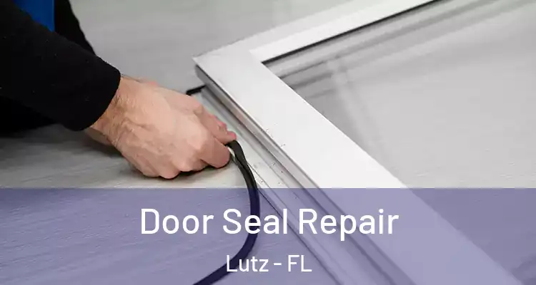  Door Seal Repair Lutz - FL