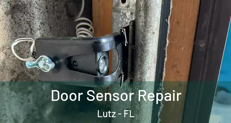  Door Sensor Repair Lutz - FL