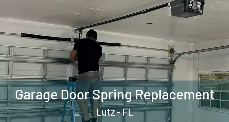  Garage Door Spring Replacement Lutz - FL