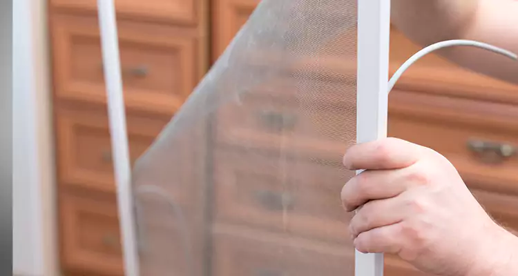 Privacy Mesh Screen Door Installation in Lutz, FL