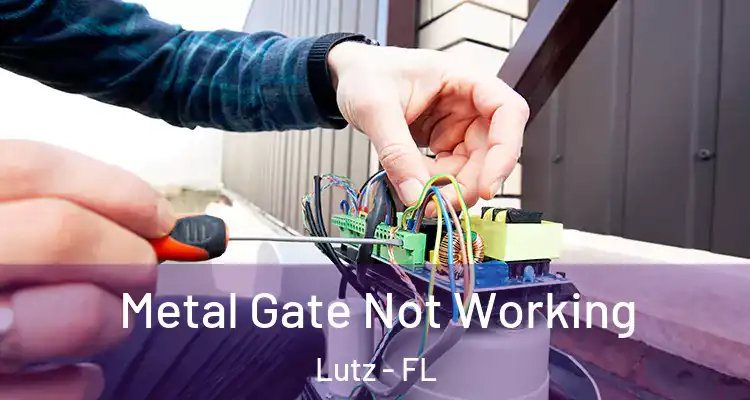  Metal Gate Not Working Lutz - FL