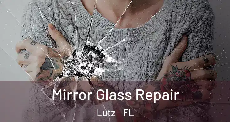  Mirror Glass Repair Lutz - FL