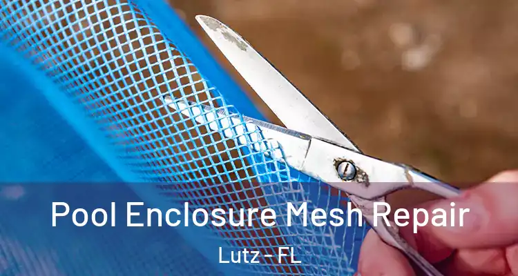  Pool Enclosure Mesh Repair Lutz - FL