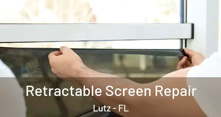  Retractable Screen Repair Lutz - FL