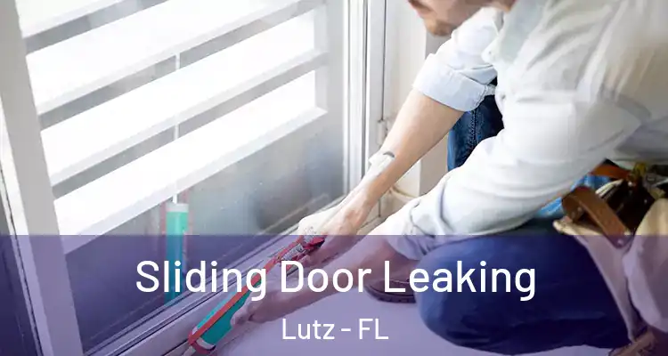  Sliding Door Leaking Lutz - FL