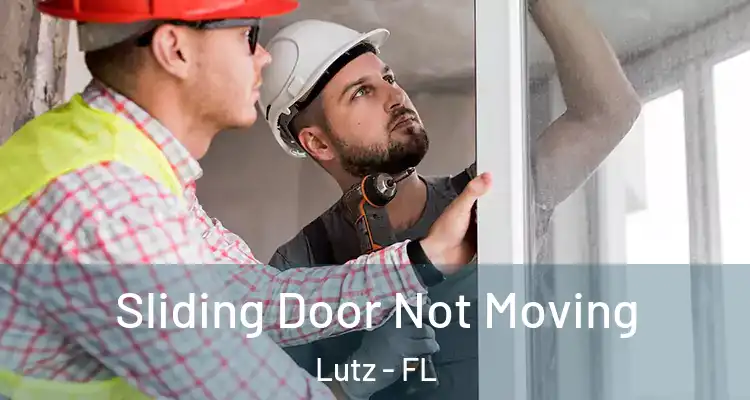  Sliding Door Not Moving Lutz - FL