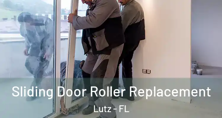  Sliding Door Roller Replacement Lutz - FL