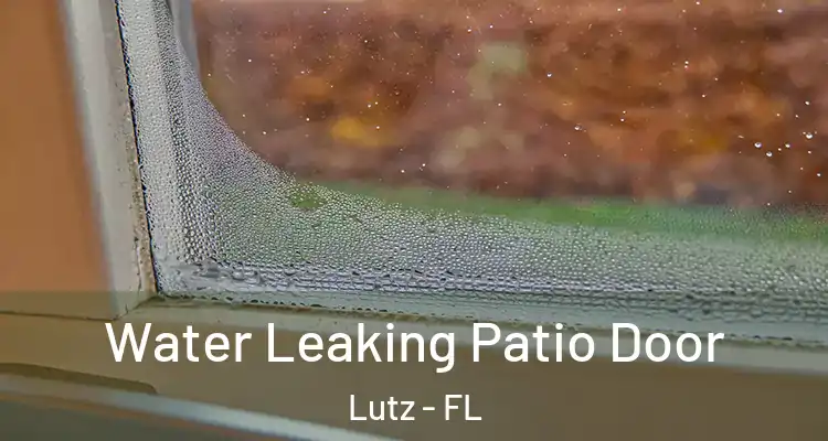  Water Leaking Patio Door Lutz - FL