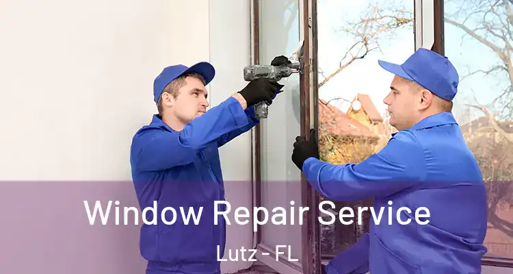  Window Repair Service Lutz - FL